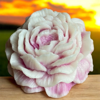 Pivoine