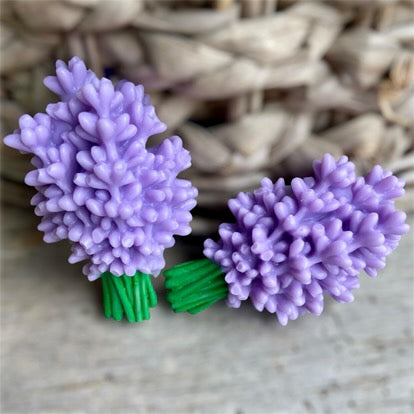Bouquet de lavandes