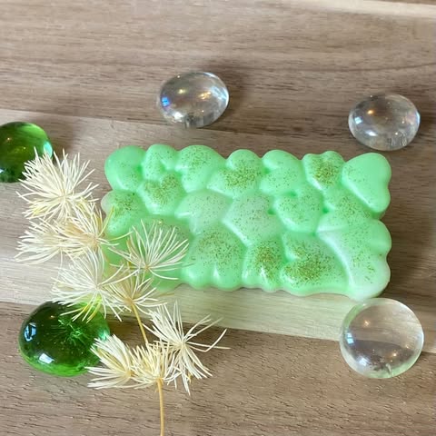 Tablette fondante "Aloe Vera"