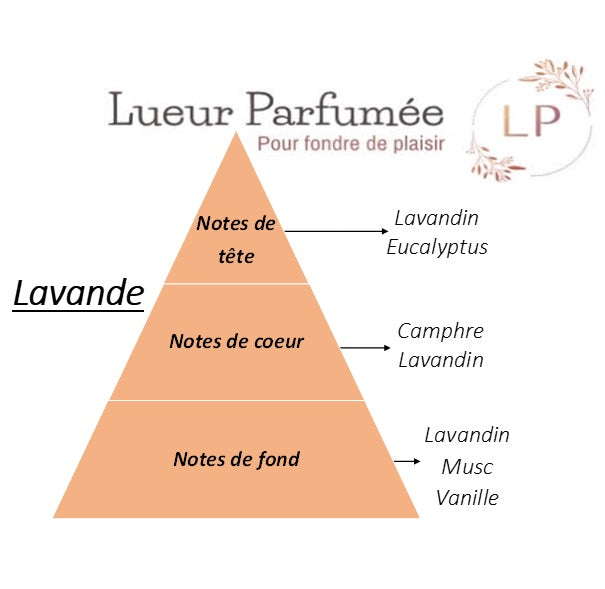 Bouquet de lavandes